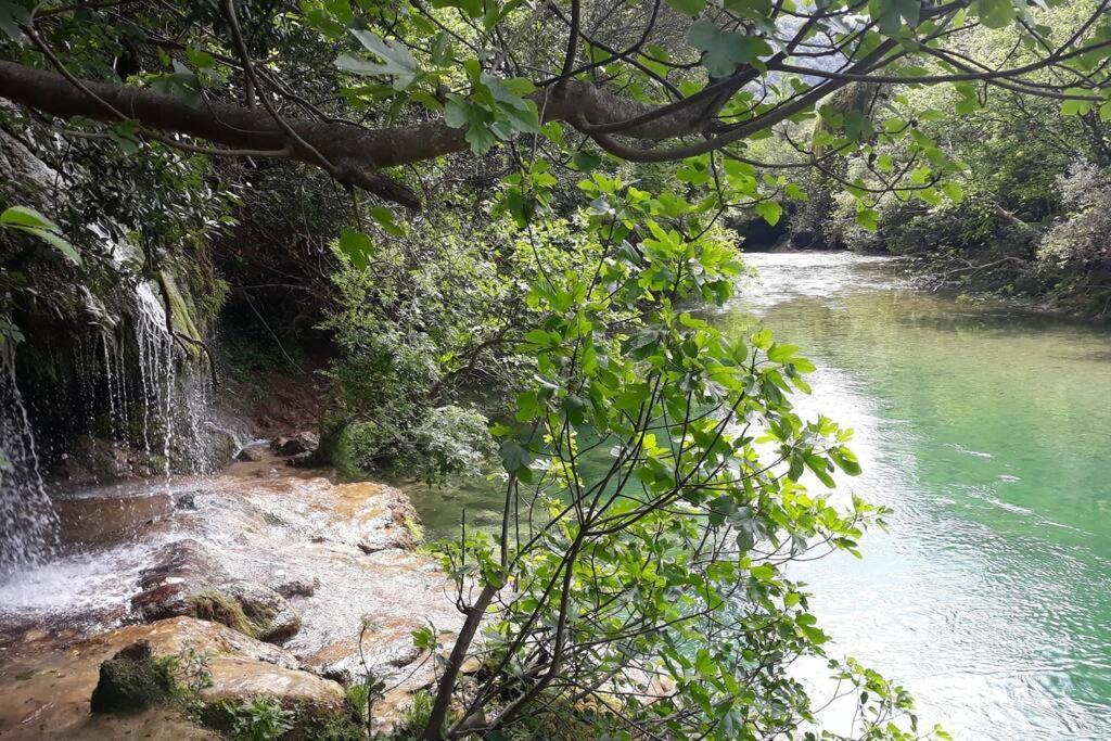 Tiloft Διαμέρισμα Αντίμπ Εξωτερικό φωτογραφία
