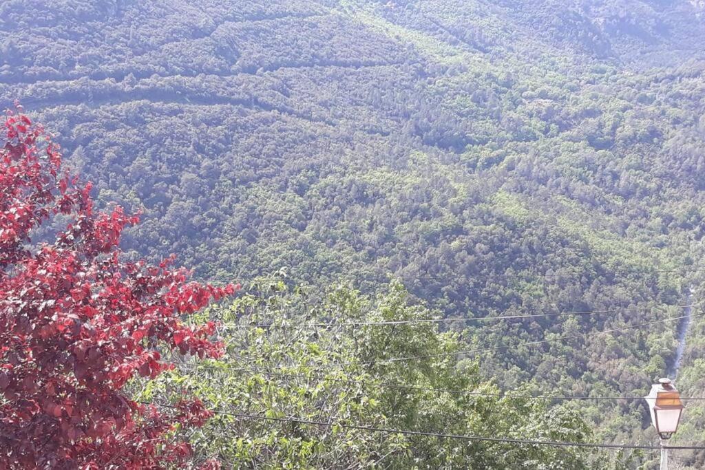 Tiloft Διαμέρισμα Αντίμπ Εξωτερικό φωτογραφία
