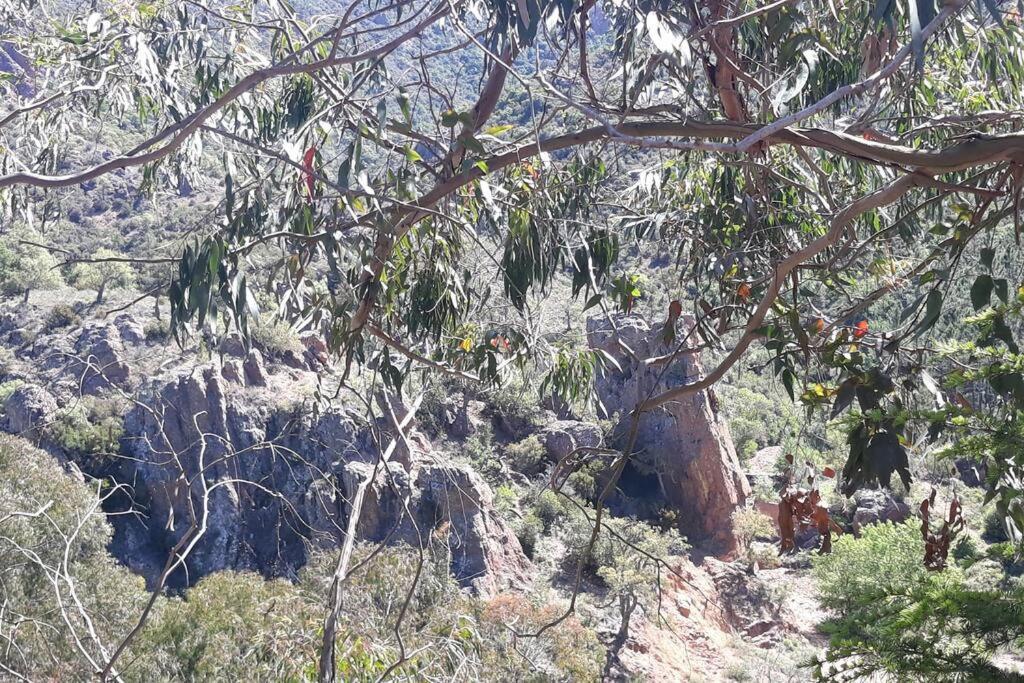 Tiloft Διαμέρισμα Αντίμπ Εξωτερικό φωτογραφία