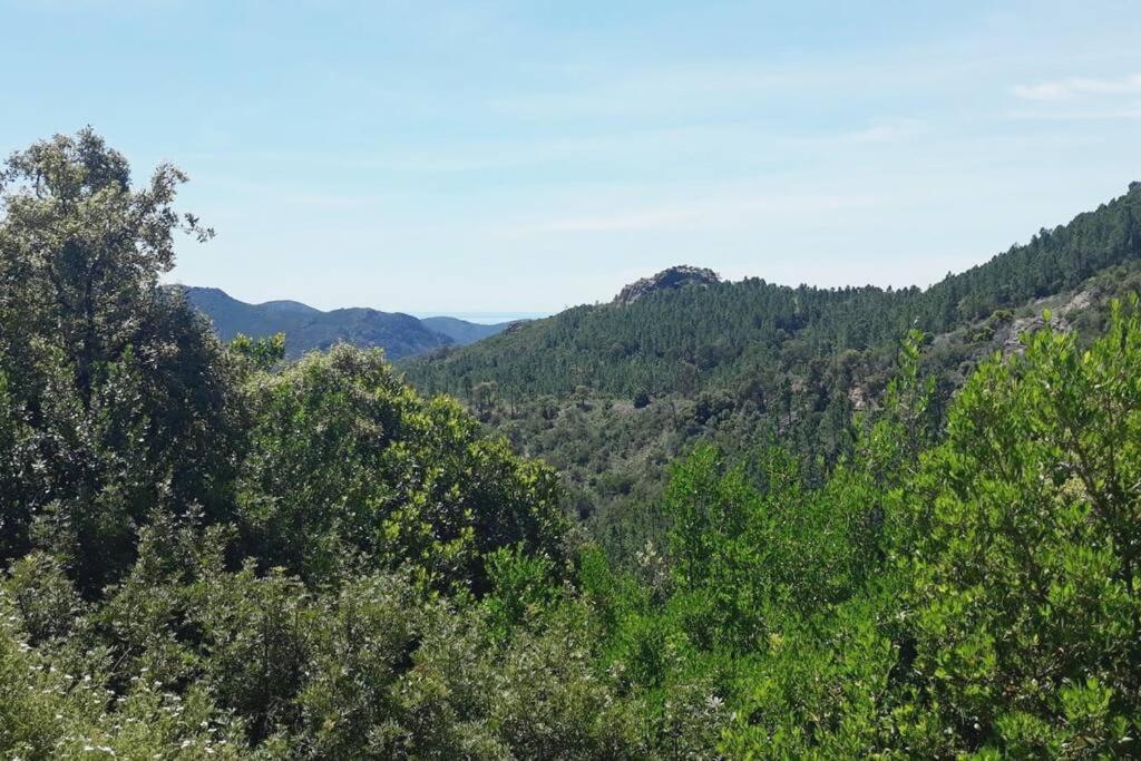 Tiloft Διαμέρισμα Αντίμπ Εξωτερικό φωτογραφία