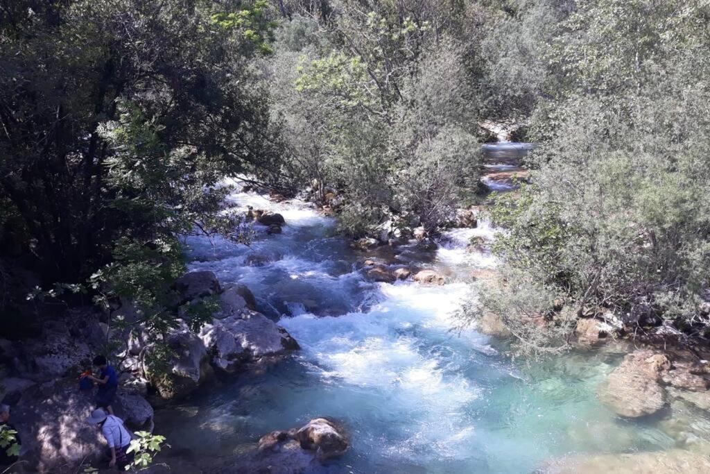 Tiloft Διαμέρισμα Αντίμπ Εξωτερικό φωτογραφία
