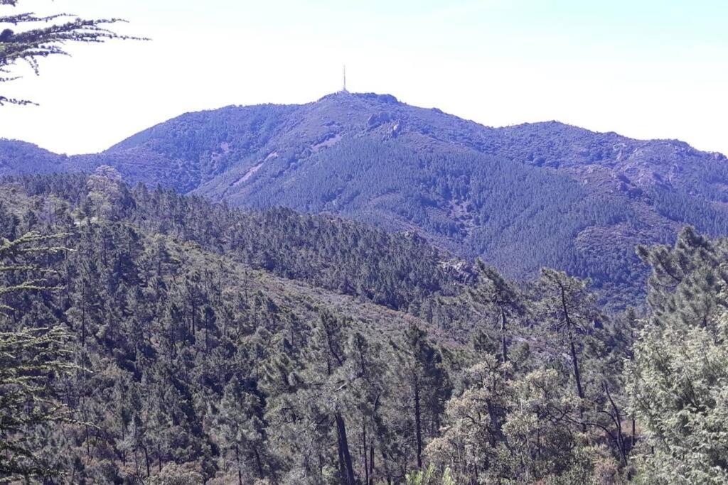 Tiloft Διαμέρισμα Αντίμπ Εξωτερικό φωτογραφία